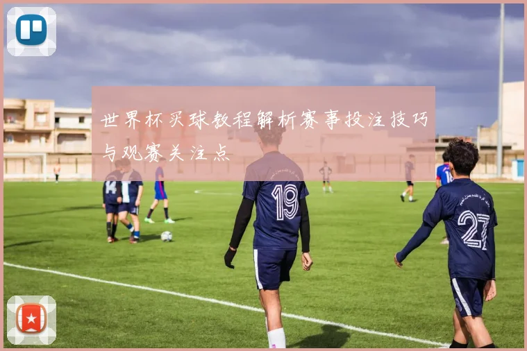 世界杯买球教程解析赛事投注技巧与观赛关注点