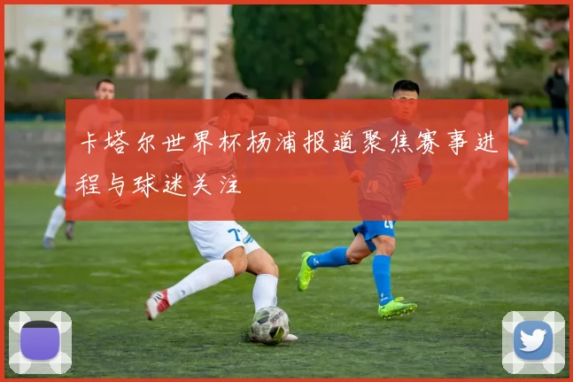 卡塔尔世界杯杨浦报道聚焦赛事进程与球迷关注