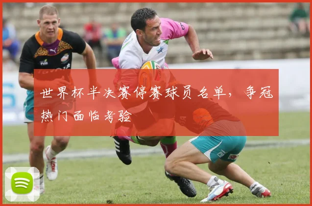 世界杯半决赛停赛球员名单，争冠热门面临考验