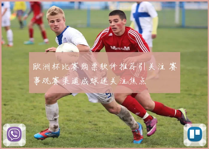 欧洲杯比赛购票软件推荐引关注 赛事观赛渠道成球迷关注焦点